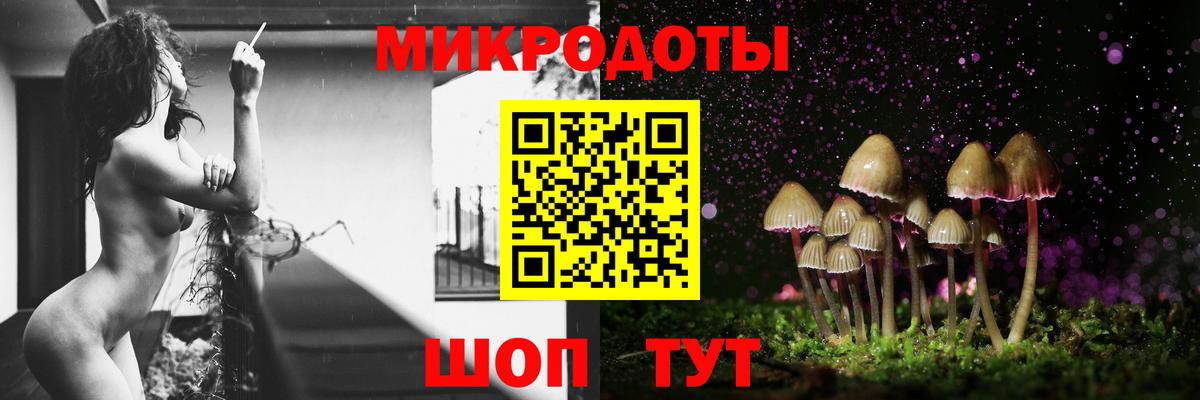 Фрязино  Галлюциногенные грибы Psilocybine cubensis  Вход с VPN  Псилоцибиновые грибы мицелий 