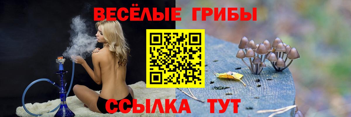 Псилоцибиновые грибы Magic Shrooms Фрязино