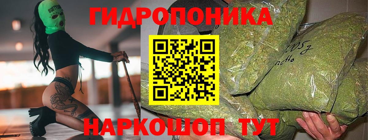 Каннабис конопля Фрязино